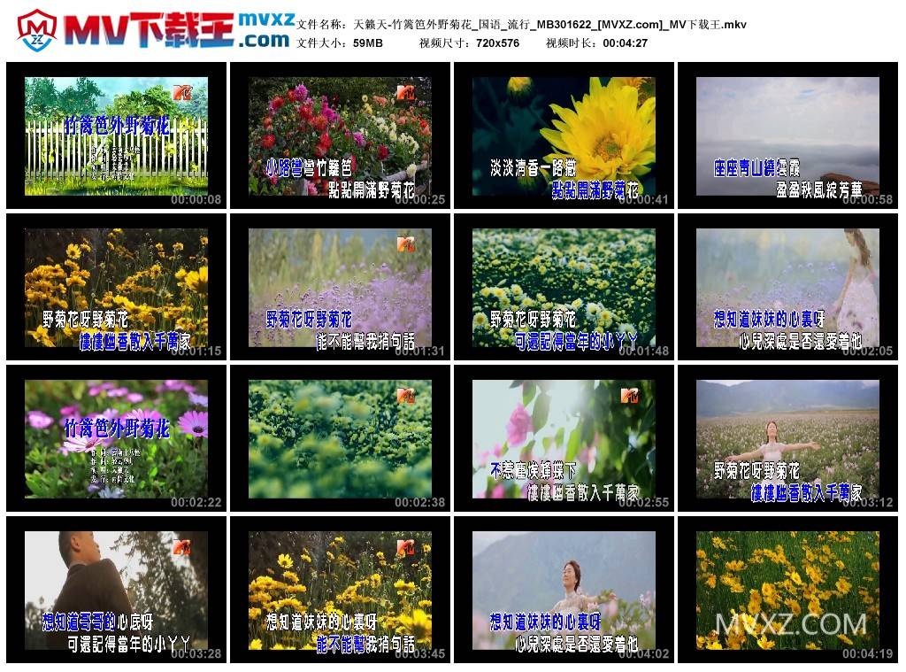 天籁天-竹篱笆外野菊花_国语_流行_MB301622